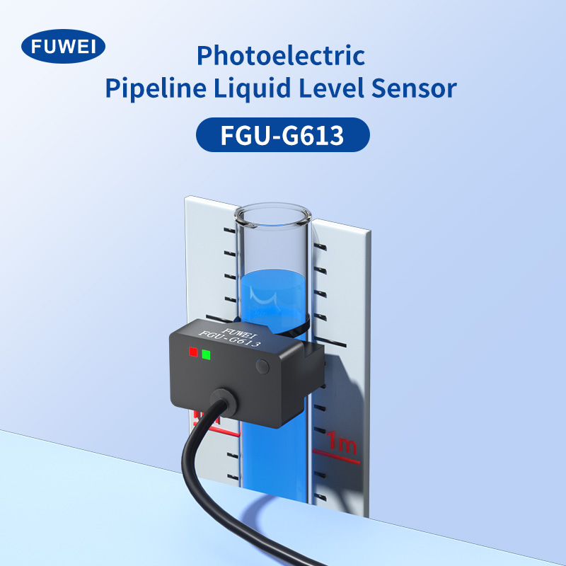 FGU-G613N Датчик уровня трубы